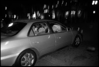 https://www.ed-templeton.com/files/gimgs/th-153_Twerking from Car HB 2.jpg